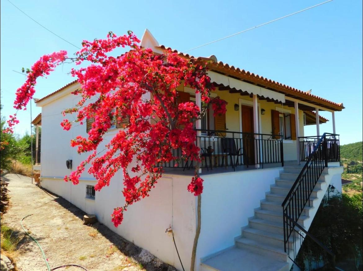 Nirvana Guest House Vasilítsion Exterior foto
